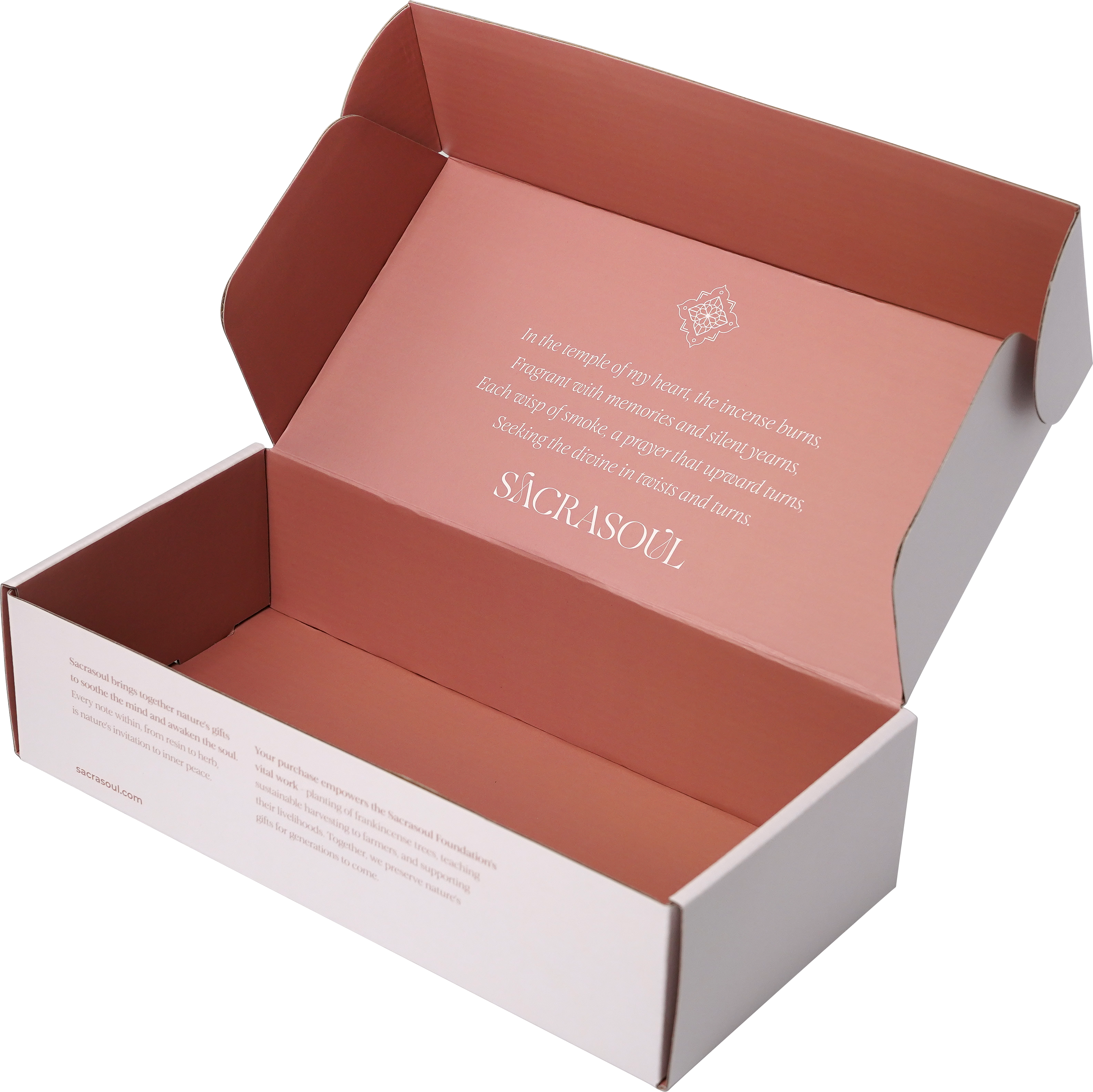 Mailer Box